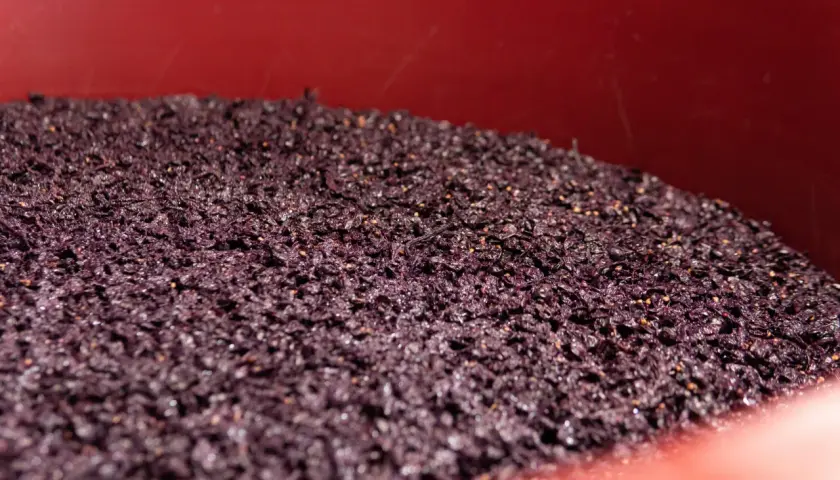 La feccia del vino, residuo della fermentazione, riposa in un contenitore rosso.