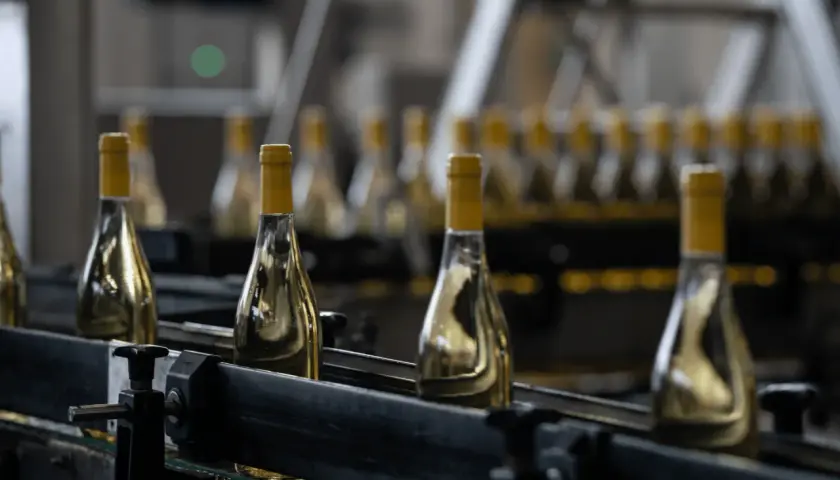Bottiglie di vino bianco con tappi gialli su un nastro trasportatore, pronte per imbottigliare vino luna.