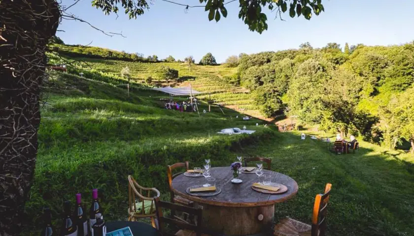 Un incantevole picnic in vigna in Lombardia, con tavoli apparecchiati tra i filari e un paesaggio collinare rigoglioso.