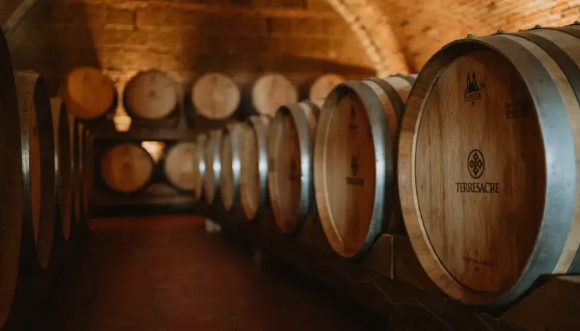 Cantina con botti di legno invecchiate, pronte per il vino. Il tempo passa, ma il vino scade solo se non curato.
