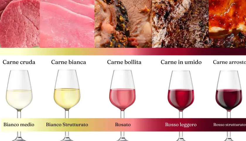 Abbinamenti ideali: vino per tagliata e altri piatti di carne. Dalla carne cruda all'arrosto, scopri il vino perfetto.