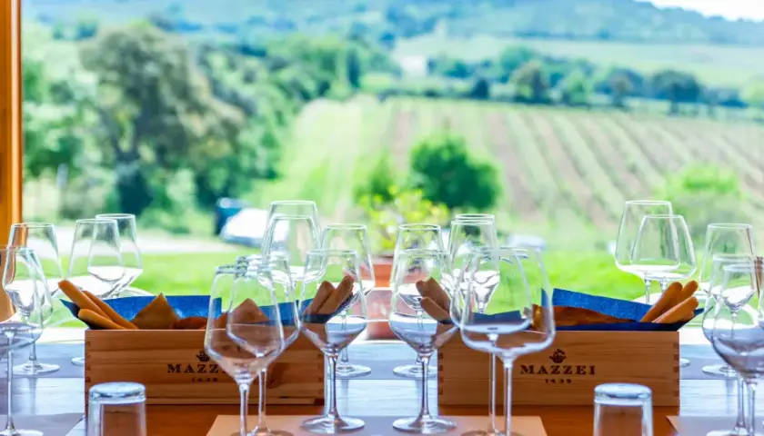 Bicchieri pronti per una degustazione di vini in un'azienda agricola con vista sui vigneti. Un'esperienza perfetta per scoprire dove fare degustazione vini.