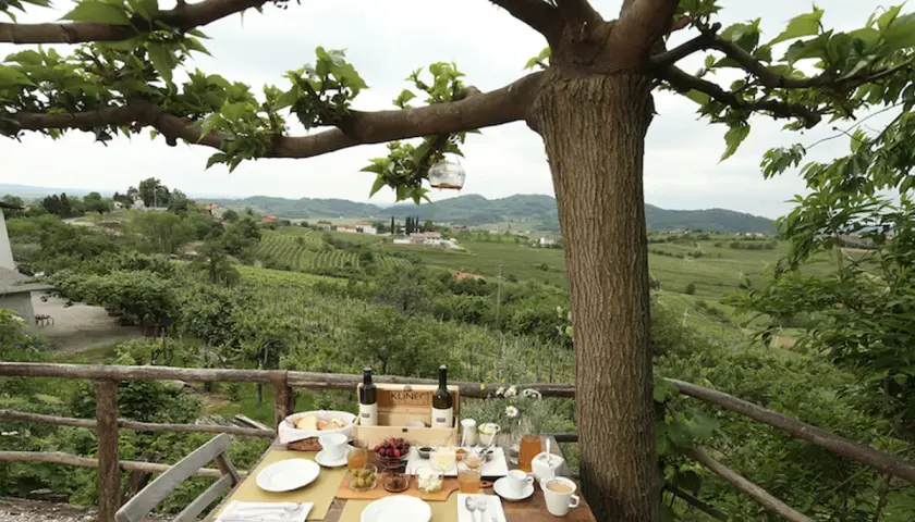 Colazione con vista sui vigneti del Collio, un assaggio delle migliori cantine del collio friulano.