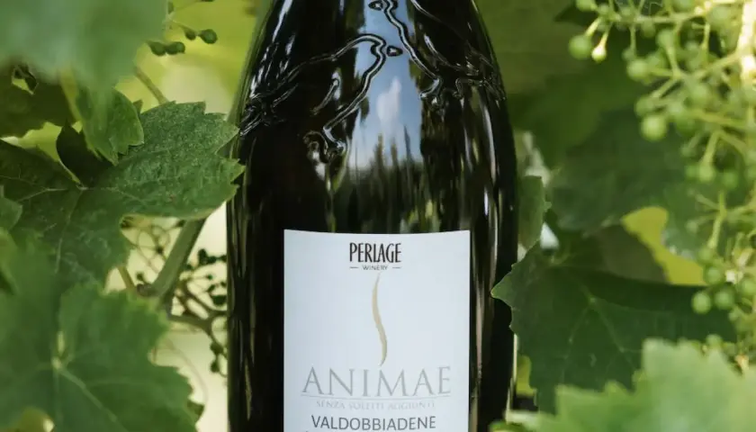 Bottiglia di Valdobbiadene Prosecco DOCG Brut "Animæ" tra le foglie, un esempio di vino biologico che rispetta il disciplinare.