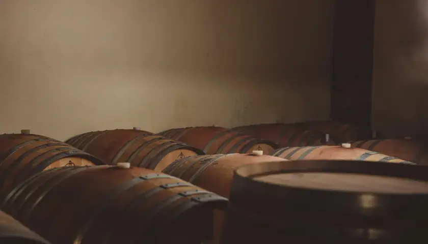 Cantina buia con numerosi tonneaux di rovere in attesa di maturare il vino.