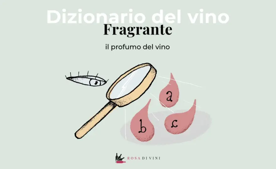 Fragrante nel vino e in cucina - Il vero significato