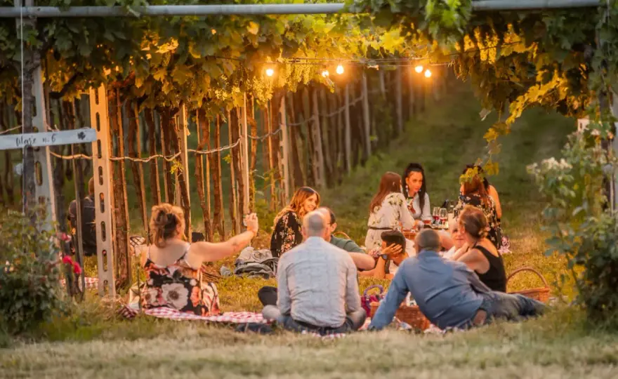 Aperitivo in vigna Veneto - Guida per un'esperienza perfetta