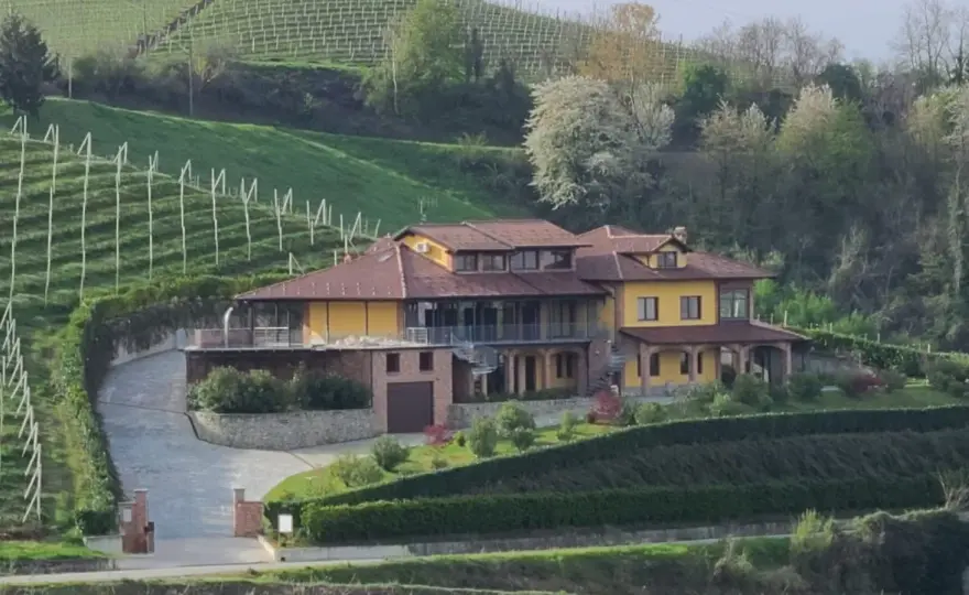 Bricco Maiolica: Guida completa ai vini e alla cantina di Diano d'Alba