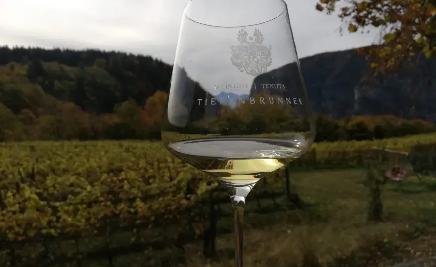 Feldmarschall - Il Müller-Thurgau che non ti aspetti dall'Alto Adige