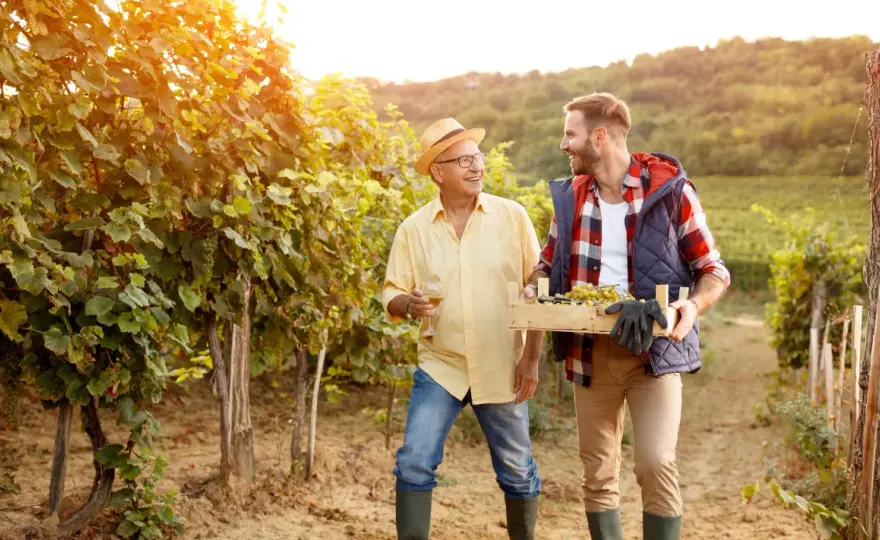 Cantine familiari - Pregi o limiti per il vino?