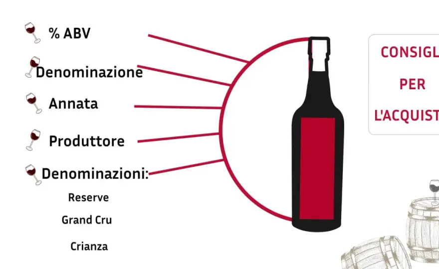 Cabernet Franc - La guida completa per riconoscerlo e apprezzarlo