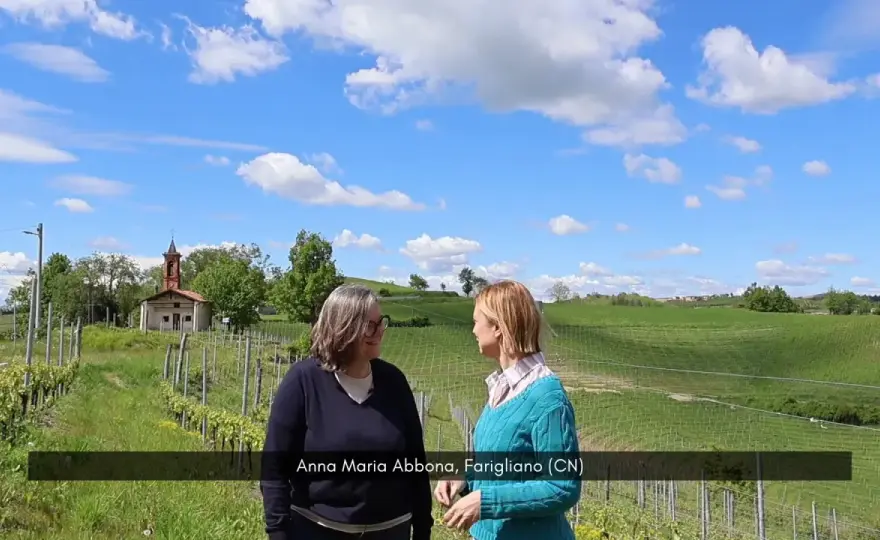 Anna Maria Abbona - Vini Langhe: quale scegliere?