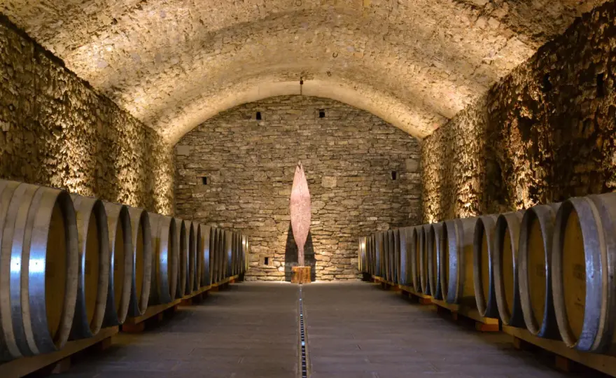 Cantine Chianti - Non è solo vino, è esperienza!