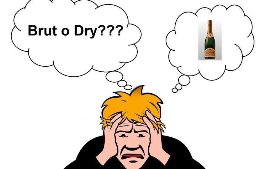 Vino Dry - Scopri il vero significato e non sbagliare più!