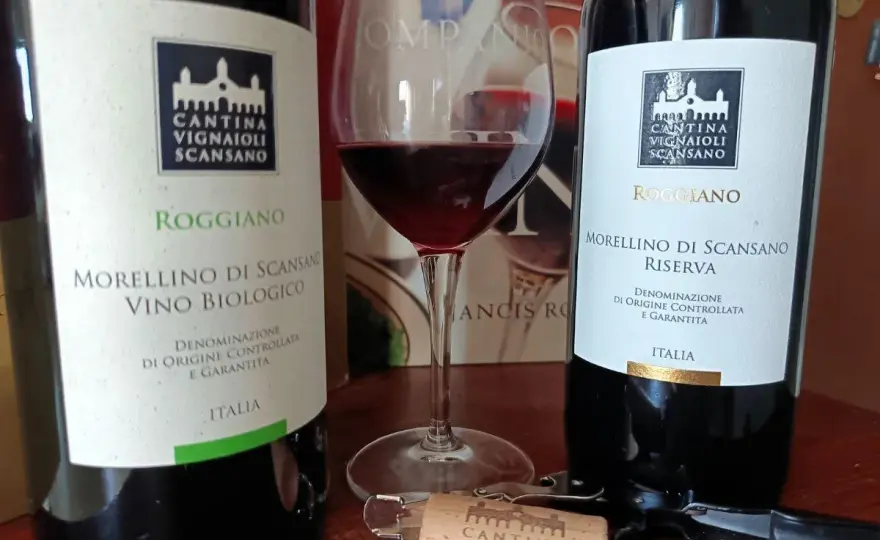 San Vincenzo e il Vino - Perché è Patrono dei Vignaioli?