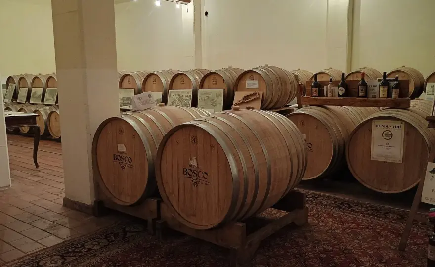 Cantine Bosco Nestore - Guida completa a vini e visite