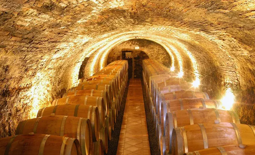 Visita cantine Montalcino - Guida completa per un'esperienza top