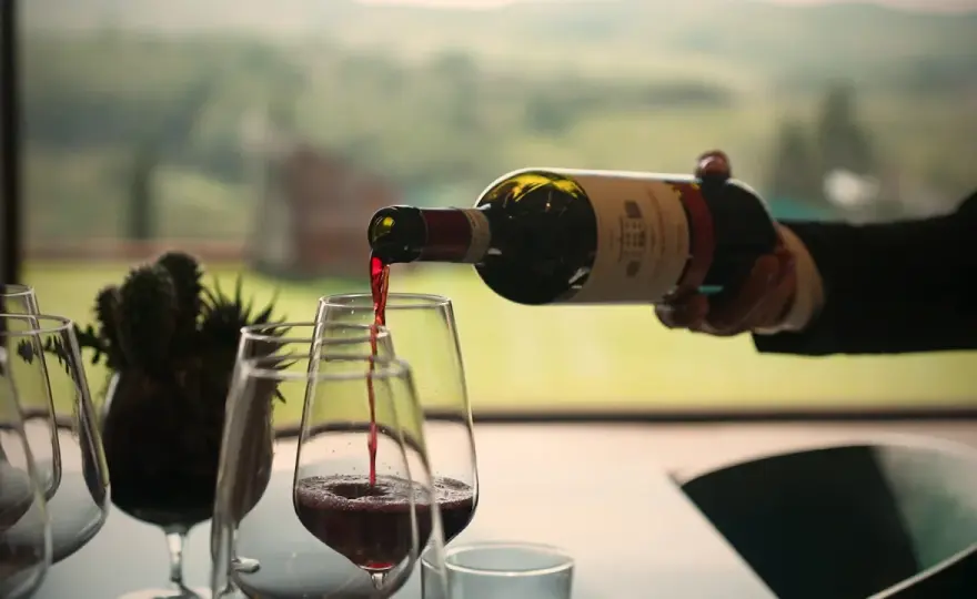 Disciplinare del vino - Guida completa per scegliere meglio