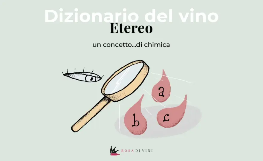 Vino etereo - Cos'è, come riconoscerlo e quando è un pregio