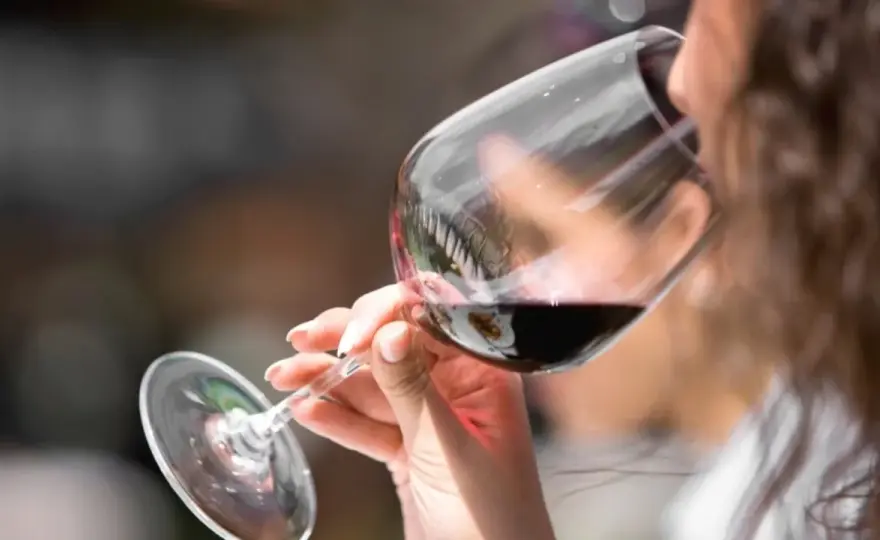 Vino amabile - Guida completa per riconoscerlo e abbinarlo