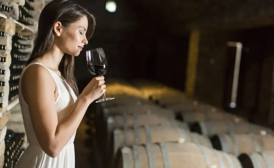 Degustazione vino in cantina - Guida completa per l'enoturista