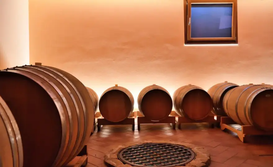 Cantine Friuli Venezia Giulia - Guida per scegliere il vino giusto