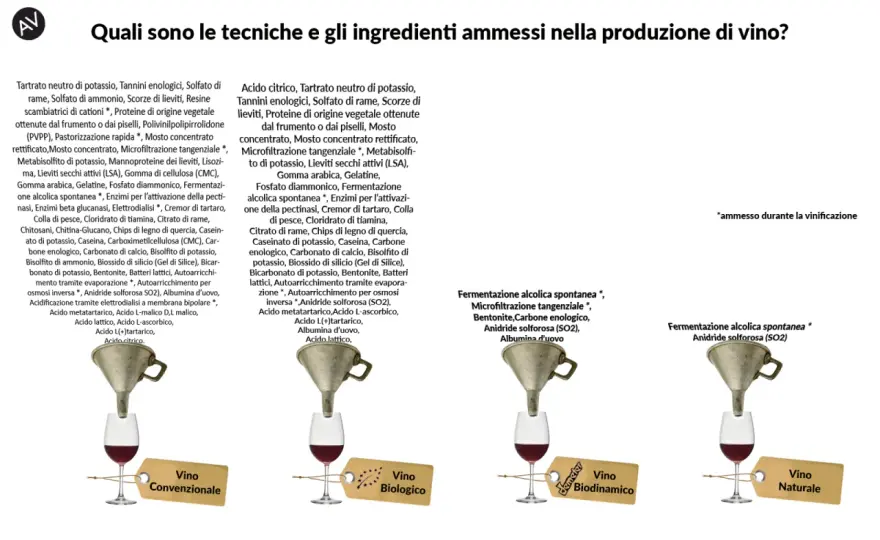 Vino biologico vs biodinamico - La guida completa per scegliere bene