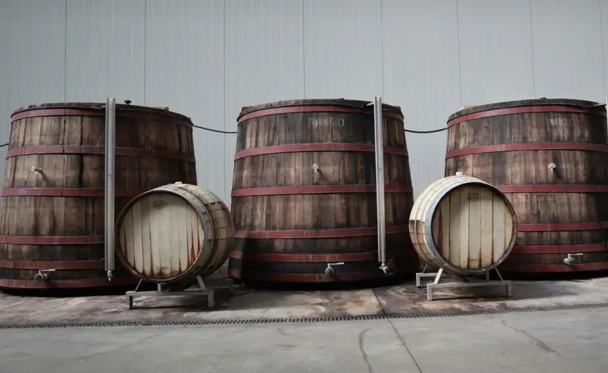 Affinamento del vino - Guida completa all'evoluzione in cantina