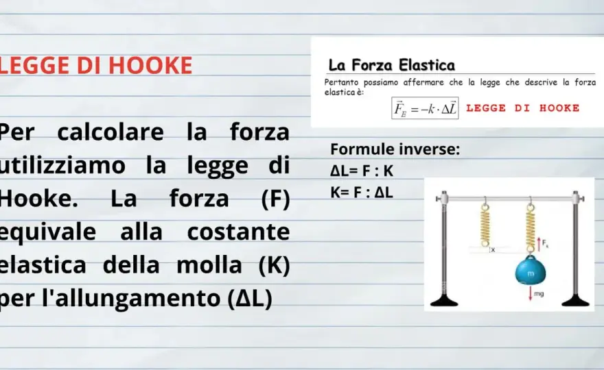 La Forza - Abbinamenti perfetti: cosa funziona e cosa no