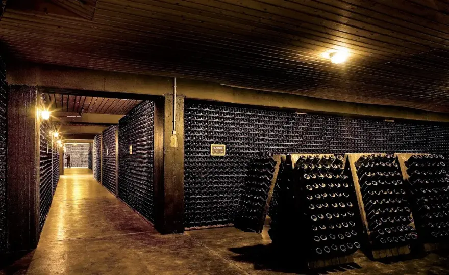 Visita cantine in Sicilia - Guida completa per un tour perfetto