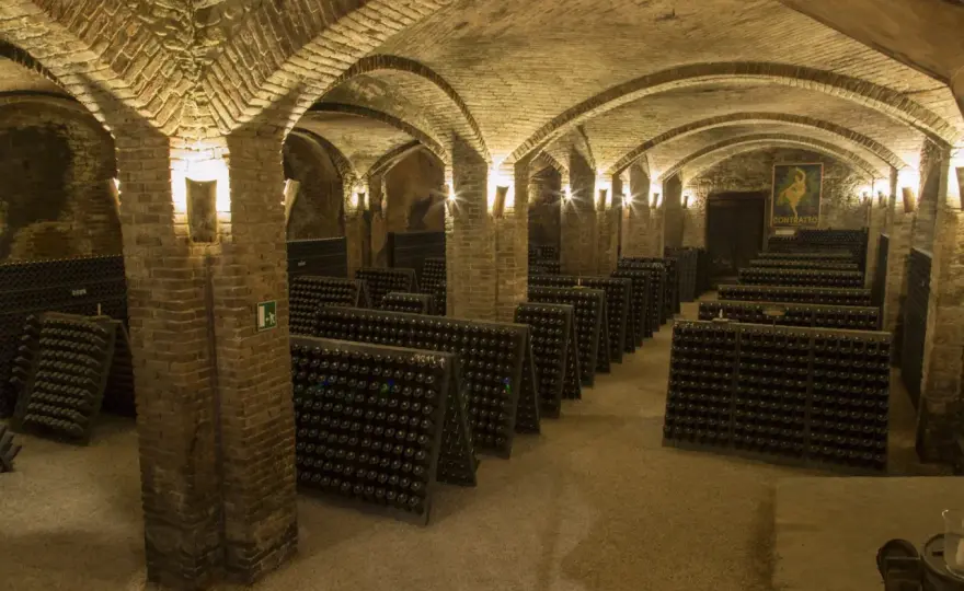 Cattedrali Sotterranee Canelli - Guida Completa alla Visita