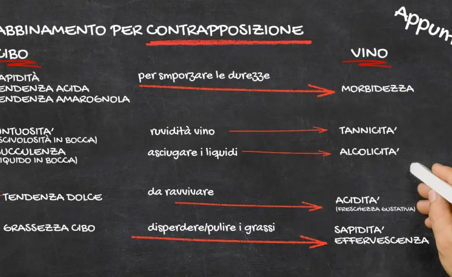 Abbinamento cibo-bevande - La guida definitiva per non sbagliare
