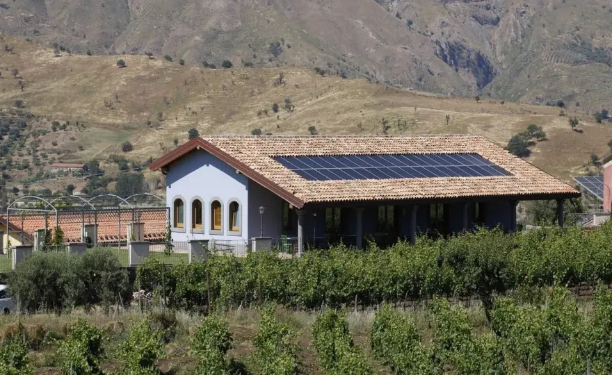 Tenuta Terre Nere Etna - Guida Vini, Contrade e Abbinamenti