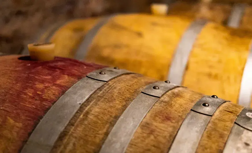 Fermentazione alcolica: la guida completa al vino