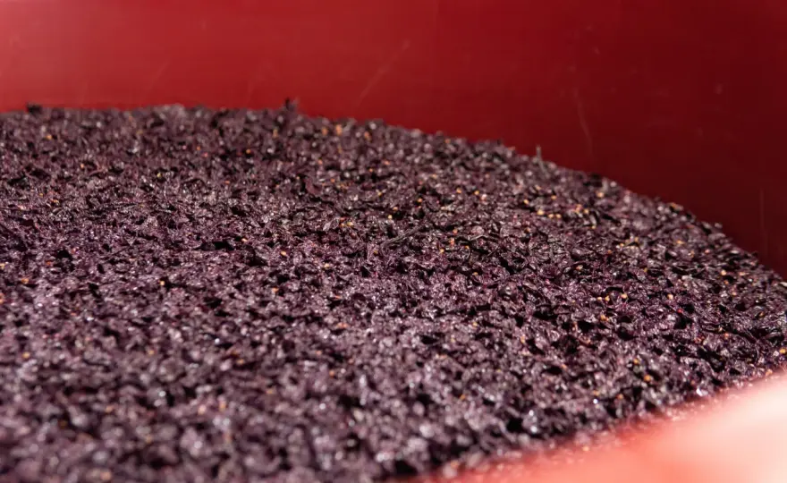 Fecce del vino - Alleato o nemico? La guida completa