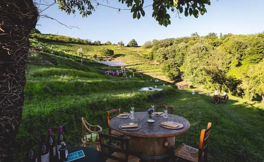 Picnic in vigna Lombardia - La guida per scegliere bene