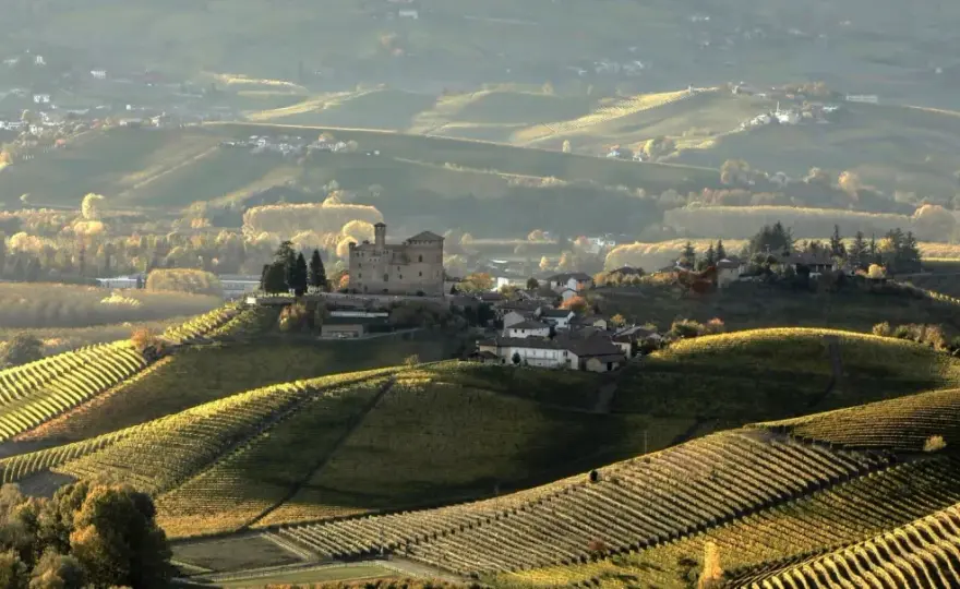 Cascina Pugnane - Il Barolo autentico delle Langhe
