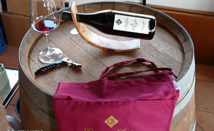 Cascina Saria Neive - Guida completa: vini, visita e abbinamenti