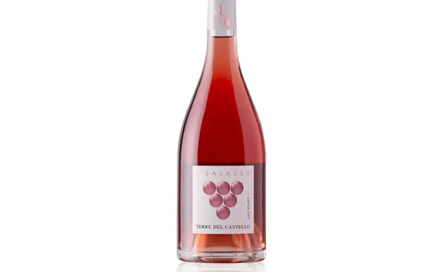 Salasso del vino - Guida completa per rosati e rossi migliori