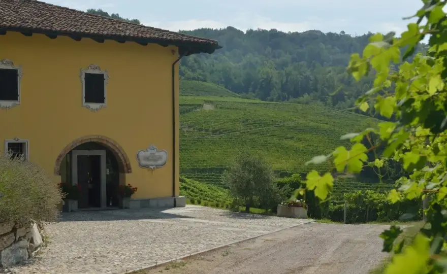 Costa di Bussia Tenuta Arnulfo - Il Barolo di Bussia che conta