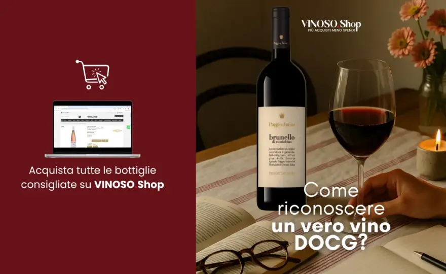Barolo DOCG - Guida completa per capire e scegliere il vino