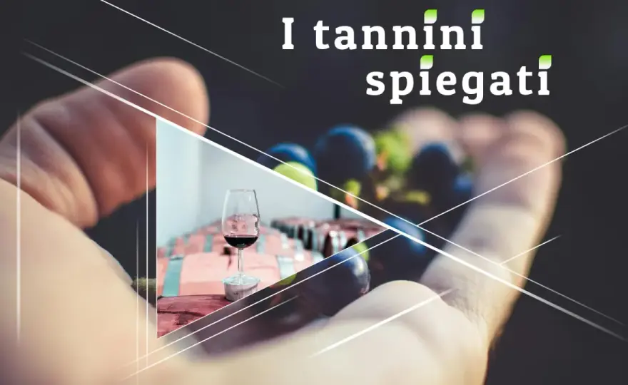 Tannini gallici nel vino - Guida all'uso in cantina