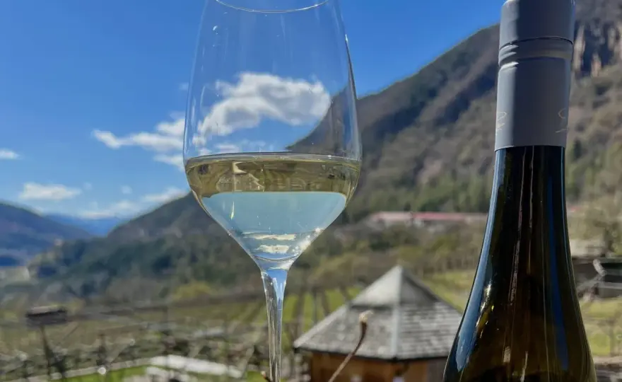 Müller-Thurgau: il bianco di montagna che non ti aspetti