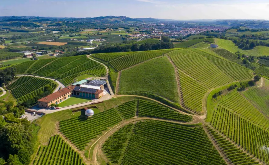 Tenuta Monsordo Bernardina - Il cuore di Ceretto nelle Langhe