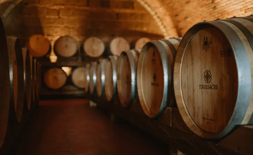 Vino scaduto? La verità su conservazione e invecchiamento