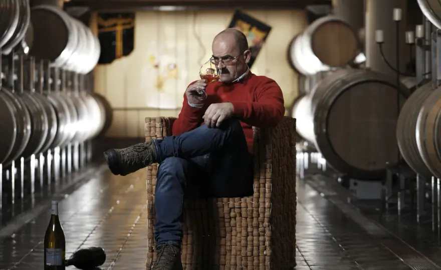Franz Haas - Guida completa ai vini dell'Alto Adige
