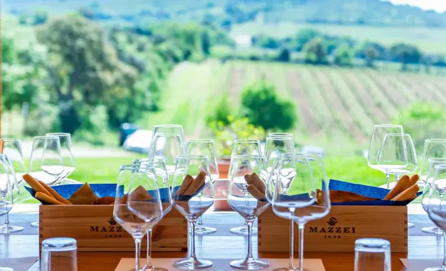 Degustazione vini - Dove andare e come scegliere il meglio