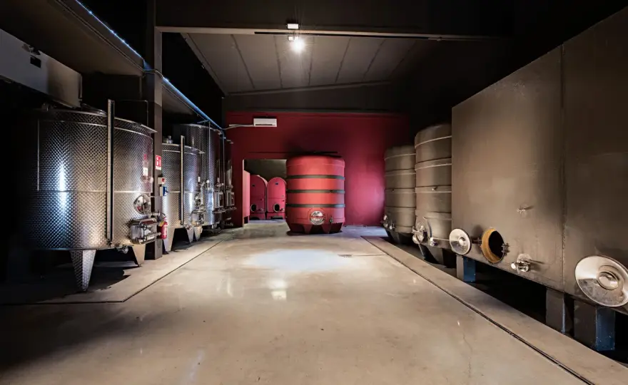 Tenuta Garetto - Barbera e Monferrato: la guida completa