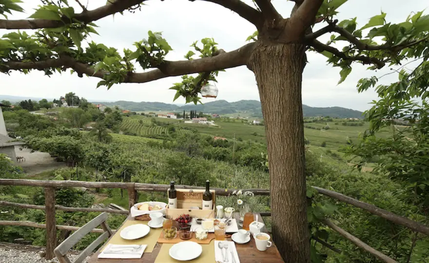 Cantine Collio: le migliori per un'esperienza indimenticabile