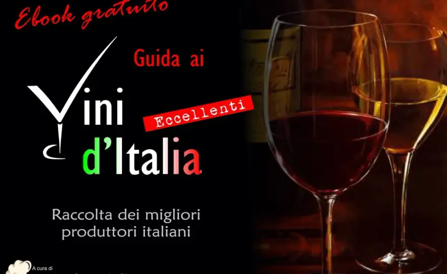 Vino IGT - Guida completa: significato, abbinamenti e miti da sfatare
